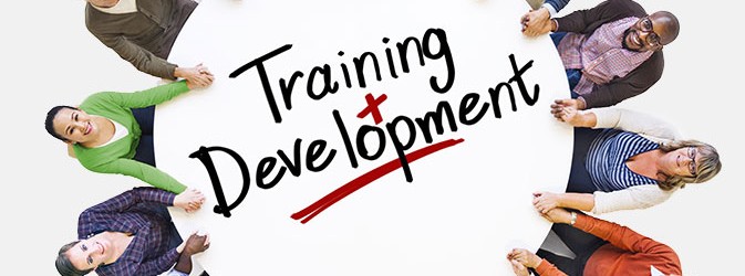 training and development at Quandary Therapy